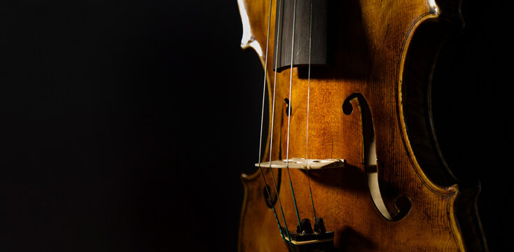 Violine vor dem schwarzen Hintergrund