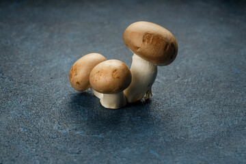 Three champignon mushroom on the blue grunge background