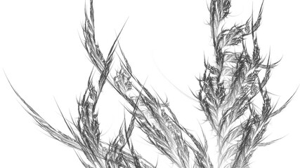 Abstract fractal illustration for creative design looks like grass ornate on white background.