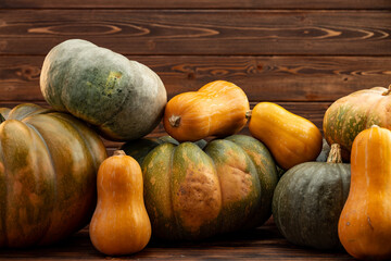 Assortment of different pumpkins on dark wooden background