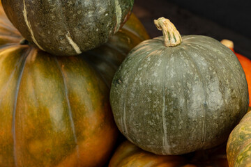 Background of a lot of colorful pumpkins