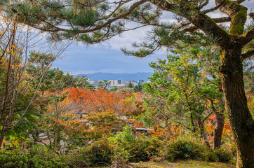 京都の円山公園