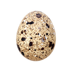 Obraz premium Variegated quail egg isolated on white background. Design element with clipping path