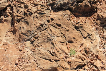 Mandu Mandu Gorge in the Cape Range National Park, Western Australia.