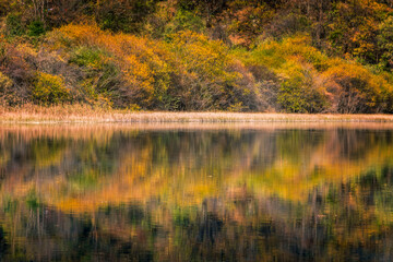 中国四川阿坝九寨沟秋色