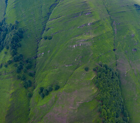 Mountain Landscape in springtime, Puerto de los Tornos, Cantabria, Spain, Europe
