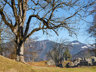 Burgberg bei Oberaudorf an einem schneelosen Januar