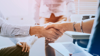 Professional businesspeople shaking hands in office