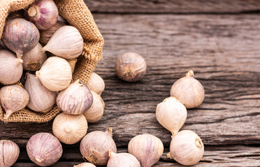 Garlic on the wooden table
