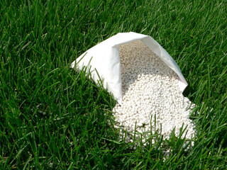 Fertilizer for grass, lawn, meadow in a bag of white granules on a background of green grass. Close...
