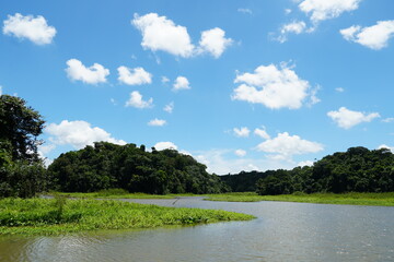 gatun lake, panama canal, nature, panama, water, sky, clouds