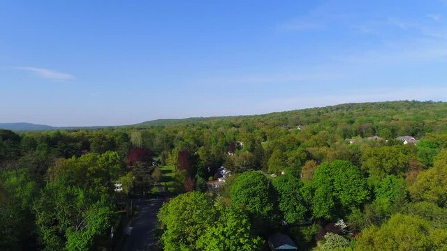 Aerial View of Trees in a Suburban Countryside