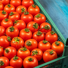 Fresh red tomatoes. Closeup