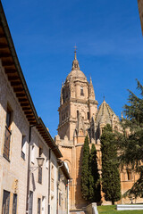 Obraz premium Salamanca Cathedral, Spain