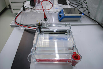 electrophoresis table