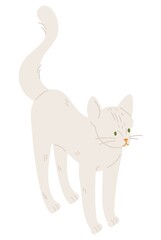 Small white kitten standing on four paws isolated on white. Vector cat character drawn in cartoon style