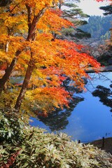 秋の霞ヶ城公園（福島県・二本松市）