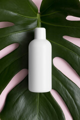 Top view of a white cosmetic bottle mockup with a monstera leaf on a pink background. © Snoflinga