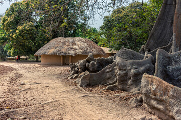 Detalle del pequeño poblado rural de Mlomp, con una raiz de arbol ceiba en el primer plano, en la región de Casamance, en el sur del Senegal