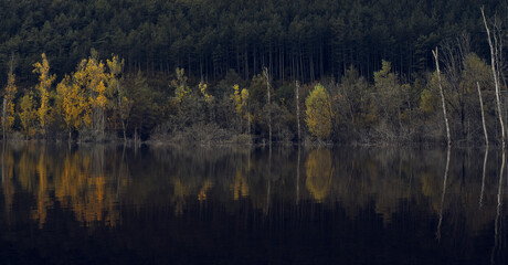 Fototapeta na wymiar Trees reflected in the water of a lake. Irati forest in autumn