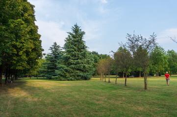 Fototapeta na wymiar Public gardens in Via Promessi Sposi in Brusuglio, Cormano, Milan, Italy