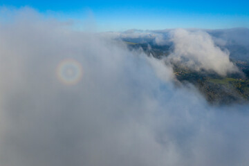 HOYAS o DOLINAS on Candina Mountain, Springtime, Encinar Cantábrico, Oak, Candina Mountain, Liendo, Liendo Valley, Montaña Oriental Costera, Cantabria, Spain, Europe