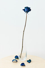 Dried blue rose in a clear vase on a beige table