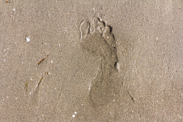 Texture background Footprints of human feet on the sand near the water on the beach