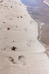 Texture background Footprints of human feet on the sand near the water on the beach