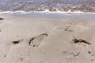 Texture background Footprints of human feet on the sand near the water on the beach