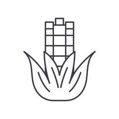 Corn concept icon, linear isolated illustration, thin line vector, web design sign, outline concept symbol with editable stroke on white background.
