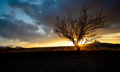 Silhouette of a tree in the background of sunset, and in the background is visible the Uchisar Fortress, Cappadocia, Turkey