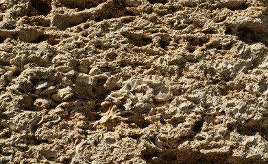 Brick wall of yellow shell rock. Closeup of shellstone texture.