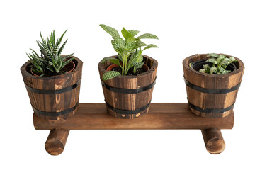 Front view of a wooden plants display