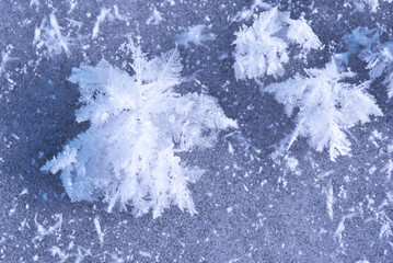Ice surface with large fluffy snowflakes, natural organic background, top view