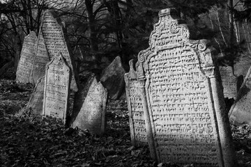 Black and white photo from a jewish cemetery