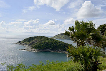 A sea landscape with an island full of small trees