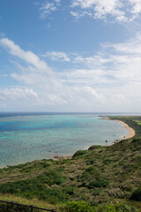 Fototapeta na wymiar 石垣島の青い海と自然