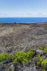 Green vegetation and Indian Ocean on volcanic rocks on Reunion Island