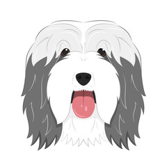 Bearded Collie dog isolated on white background vector illustration