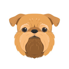 Brussels Griffon dog isolated on white background vector illustration