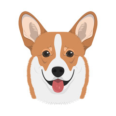 Pembroke Welsh Corgi dog isolated on white background vector illustration