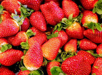 Fresh strawberries, top view