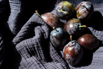Plums on textured blue kitchen towel. Fresh summer fruits top view photo. Healthy eating concept. 