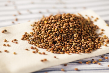 Detail photo of lot of brown lentils in natural light. Selective focus - very shallow depth of field.