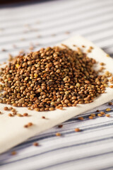 Detail photo of lot of brown lentils in natural light. Selective focus - very shallow depth of field.