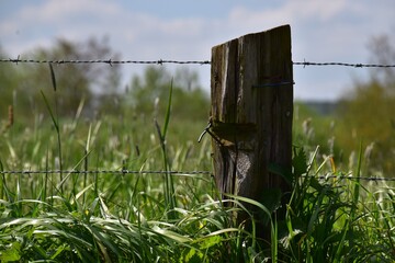 Tronco de &aacute;rbol 