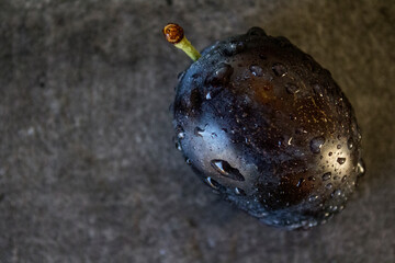 Fresh plums on a table. Water drops on juicy fruits. Close up photo of garden plums. 
