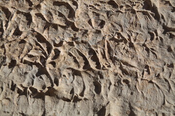 Texture, muri, legno, corteccia, metalli