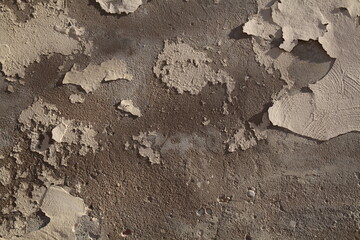 Texture, muri, legno, corteccia, metalli